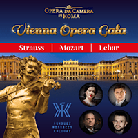 Baner z nazwą wydarzenia. Poza tym widok obiektu Opery w Wiedniu i pomnik skrzypka.