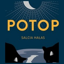 Okładka książki - grafika. Na ciemnogranatowym tle w górnej części półksiężyc wpisany w obrys słońca z mnóstwem rozchodzących się promieni. W dolnej części sylwetki dwóch czarnych kotów nachylonych nad kałużą. W centrum okładki, napisany żółtymi literami, tytuł książki i nazwisko autorki.