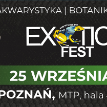 Baner promujący wydarzenie.