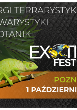 Baner promujący wydarzenie. Nazwa wydarzenia i data.