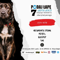 Baner promujący wydarzenie. Nazwa wydarzenia i data. Zdjęcie 2 psów