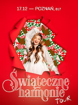 Baner promujący wydarzenie. Nazwa wydarzenia, data i zdjęcie Artystki.