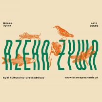 Baner promujący wydarzenie. Nazwa wydarzenia.