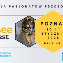 Plakat promujący BeeFest. Po lewej grafika kreskówkowej pszczółki. Po prawej trzy ramki w kształcie plastra miodu ze zdjeciami pszczół oraz czarnym napisem "Poznań 10-11 stycznia 2026 Hala Nr 2".