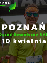 zdjęcie dekoracyjne