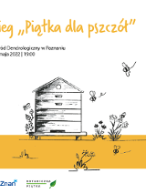 zdjęcie dekoracyjne