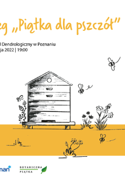 zdjęcie dekoracyjne