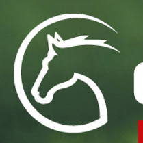 Cavaliada Targi 2014