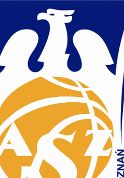 Darmowe treningi koszykówki