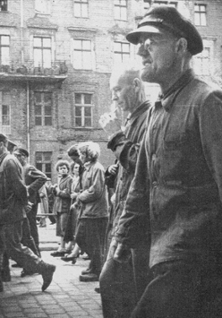 Stara, archiwalna fotografia. Tłuma na ulicach Poznania.