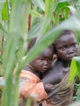 dzieci w polu kukurydzy