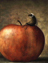 Emilia Dziubak, Jego Wysokość