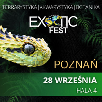Plakat promujący wydarzenie Exotic Fest w Poznaniu, z datą 28 września. Na plakacie znajduje się zbliżenie głowy jadowitego węża o zielono-żółtych łuskach na tle ciemnej roślinności.
