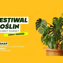 Informacje o festiwalu roślin na Tragach Poznańskich, obok dorodna roślina monstera w odmianie deliciosa, to wszystko na pomarańczowym tle.