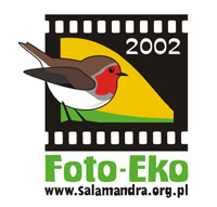 FOTO - EKO 2002 - wystawa pokonkursowa