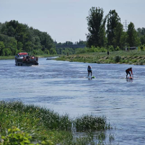 zawodnicy SUP podczas wyścigu na Warcie