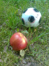 piłka, jabłko, trawa