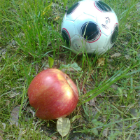 piłka, jabłko, trawa