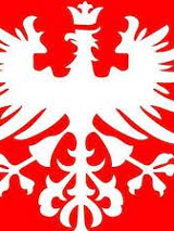 Na grafice flaga z Powstania Wielkopolskiego.