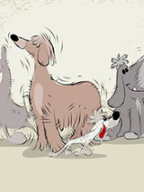 grafika przedstawia kreskówkowe psy i koty