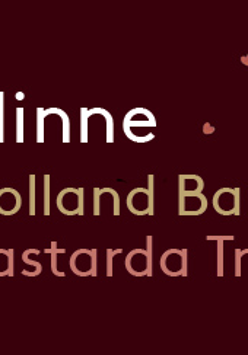 Na grafice plakat wydarzenia.