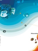 Grafika - plakat zapowiadający tegoroczną edycję Zamkowego Lata dla Dzieci - u góry obrazu w morskich falach pływają ceramiczne rybki, u dołu obrazka na plażowej piłce stoi wykonany w zamkowej pracowni ceramiki, gliniany ptaszek.