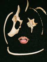 Na grafice plakat wydarzenia.