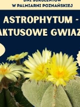 Na grafice plakat wydarzenia.