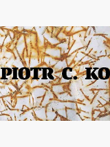 Na grafice plakat wydarzenia.