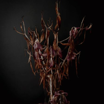 Na grafice plakat wydarzenia.