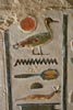 Jesienny kurs hieroglifów w Muzeum Archeologicznym