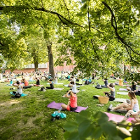 Zdjęcie przedstawiające ludzi ćwiczących jogę w parku.