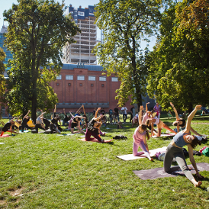 Zdjęcie parku przy Strarym Browarze. Na trawie, pod drzewami jogę uprawia grupa osób.