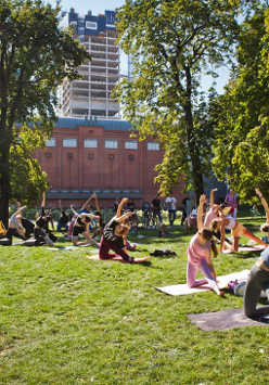 Zdjęcie parku przy Strarym Browarze. Na trawie, pod drzewami jogę uprawia grupa osób.