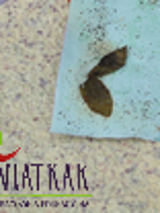 kolorowy czerpany papier