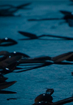 kompozycja z łyżeczek