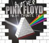 Koncert Another Pink Floyd