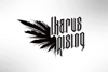 Koncert Ikarus Rising w Johnny Rocker!