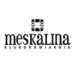 Koncert zespołu Dyzmatronik