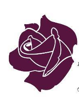 Na białym tle bordwa główka róży.