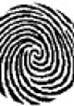 Logo fundacji Orbis Tertius.