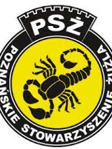 zdjęcie dekoracyjne