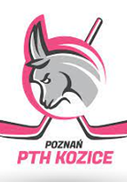 zdjęcie dekoracyjne