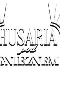 logo widowiska