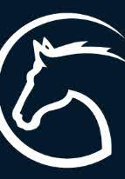 Logotyp Cavaliady - symbol białego konia na granatowym tle