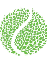 Logotyp Parku Tenisowego Olimpia - zielone listki tworzą kształt piłki tenisowej