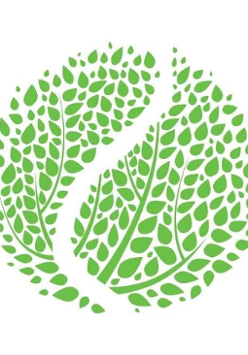 Logotyp Parku Tenisowego Olimpia - zielone listki tworzą kształt piłki tenisowej