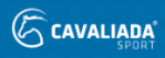 Międzynarodowe Halowe zawody w skokach przez przeszkody CSi3*-W "Cavaliada"