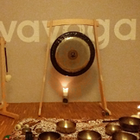 misy i gongi