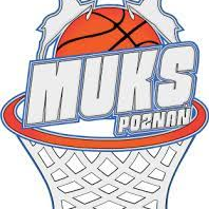 zdjęcie dekoracyjne